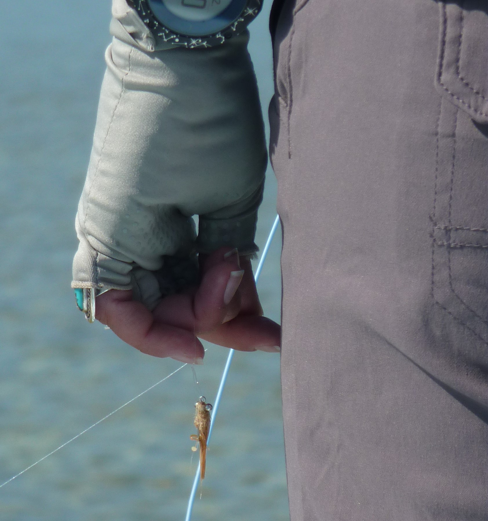 Clear Creek Fly Casting